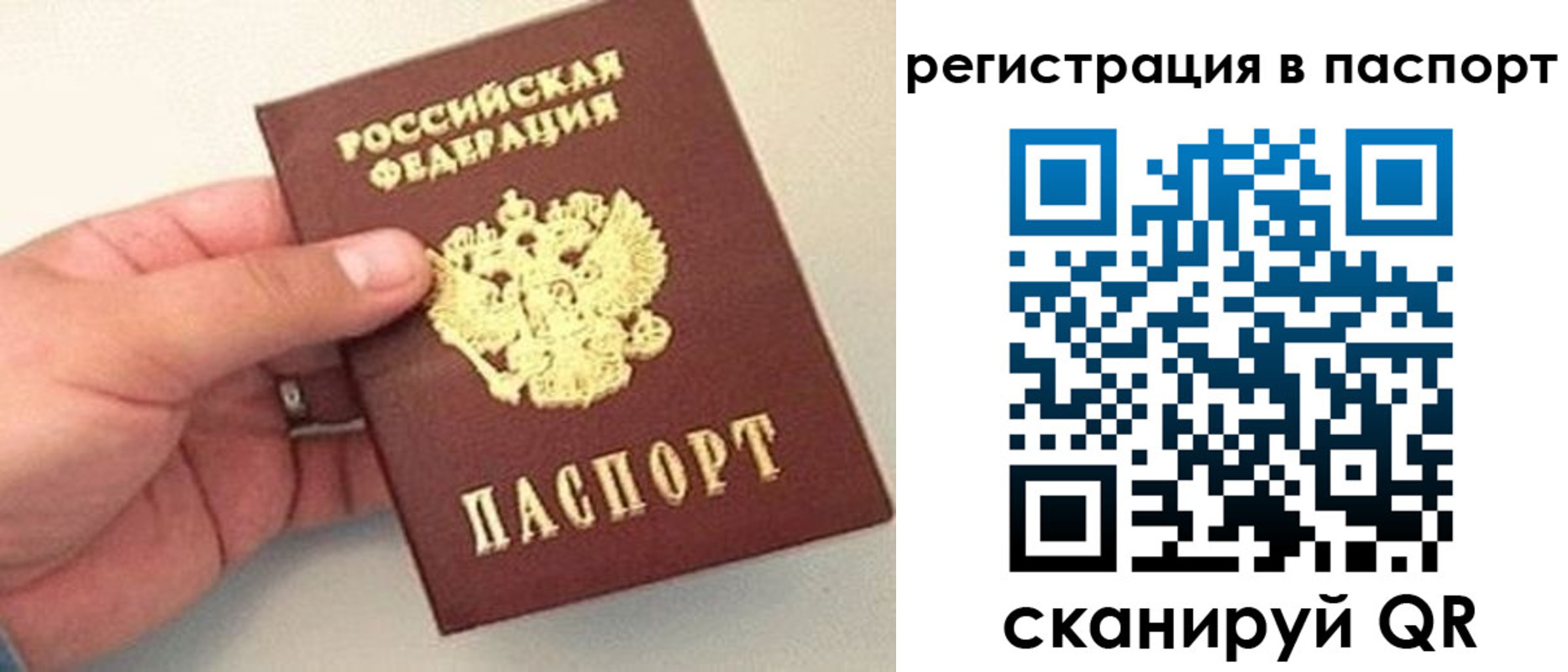прописка законно в Красноярске